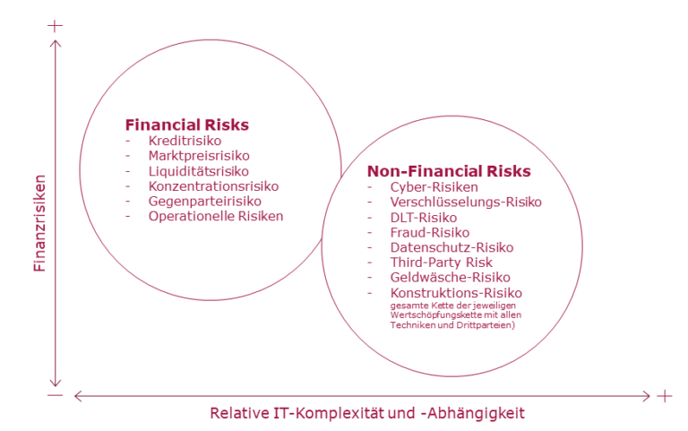 Inhaltliche Schwerpunkte im Lizensierungsprozess